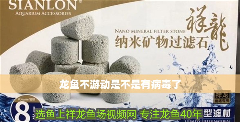 龍魚不游動是不是有病毒了 龍魚不游動是不是有病毒了 龍魚百科 第1張