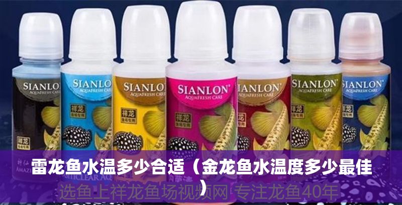 雷龍魚水溫多少合適（金龍魚水溫度多少最佳）