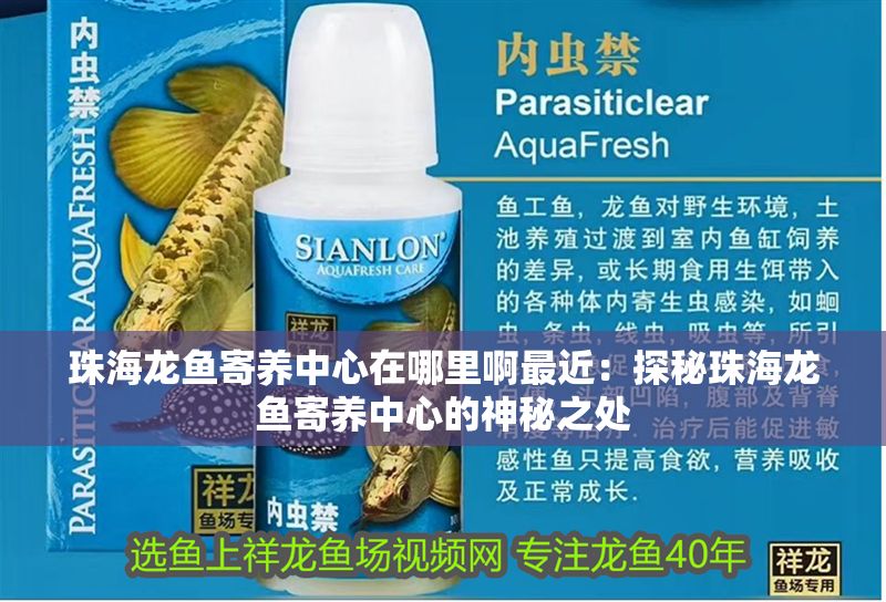 <strong><mark>珠海</mark></strong>龍魚寄養中心在哪里啊最近：探秘<strong><mark>珠海</mark></strong>龍魚寄養中心的神秘之處