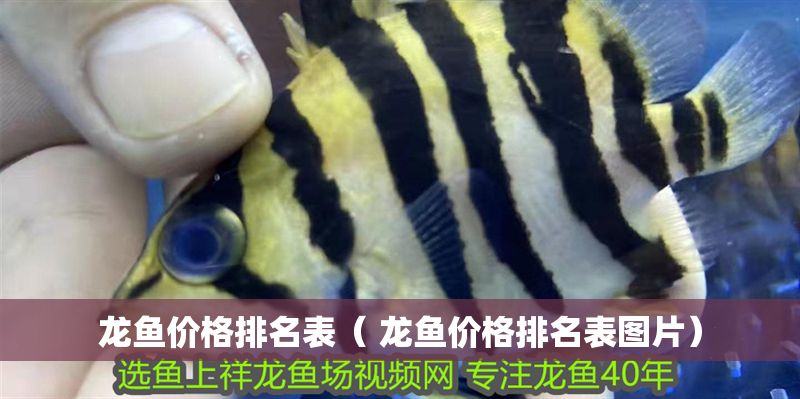 龍魚價格排名表（ 龍魚價格排名表圖片）