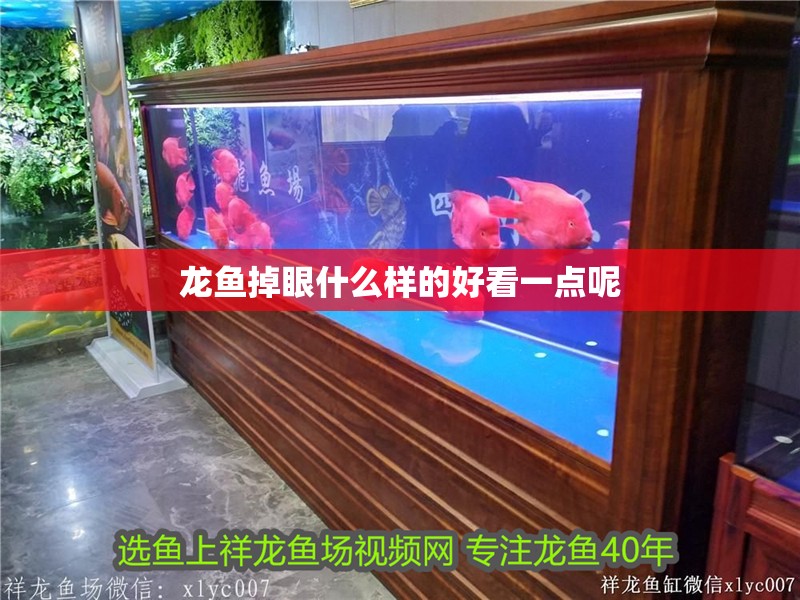 龍魚掉眼什么樣的好看一點呢