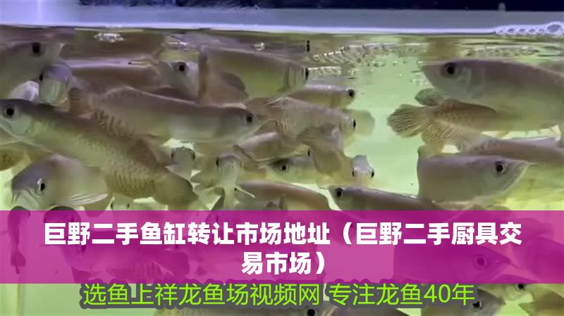 巨野二手魚(yú)缸轉(zhuǎn)讓市場(chǎng)地址（巨野二手廚具交易市場(chǎng)）