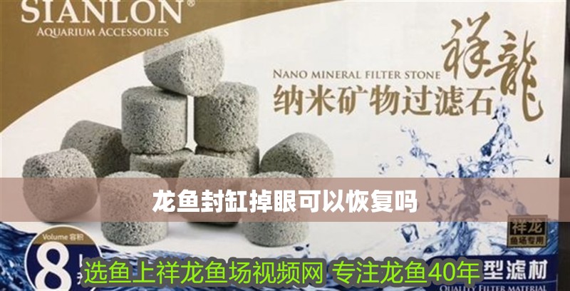 龍魚封缸掉眼可以恢復嗎
