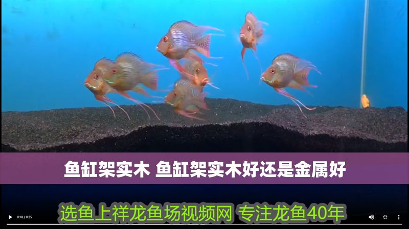 魚(yú)缸架實(shí)木 魚(yú)缸架實(shí)木好還是金屬好