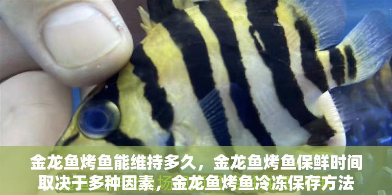 金龍魚烤魚能維持多久，金龍魚烤魚保鮮時間取決于多種因素，金龍魚烤魚冷凍保存方法