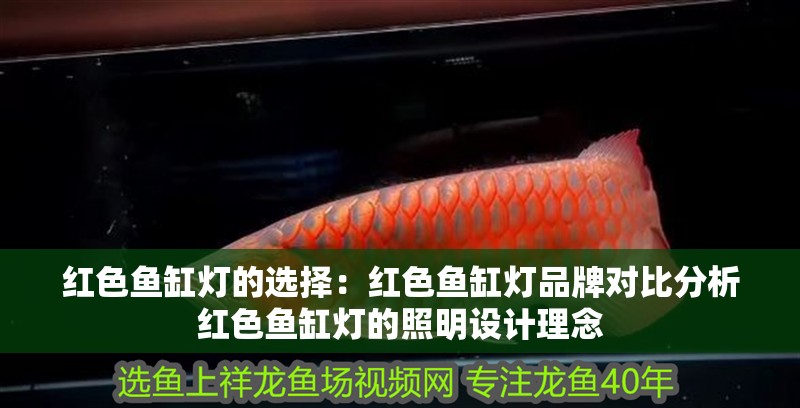 紅色魚缸燈的選擇：紅色魚缸燈品牌對比分析紅色魚缸燈的照明設(shè)計理念