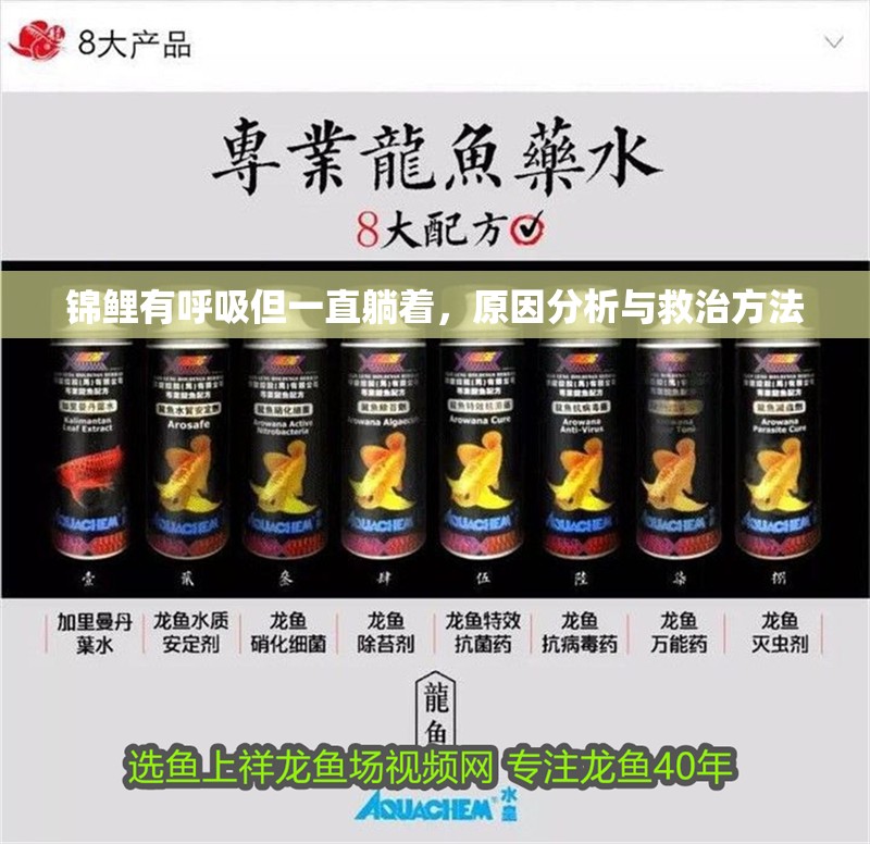 錦鯉有呼吸但一直躺著，原因分析與救治方法