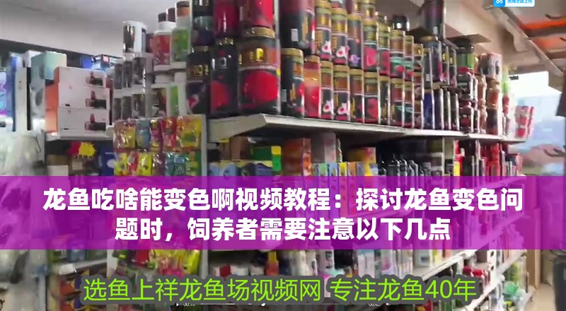 龍魚吃啥能變色啊視頻教程：探討龍魚變色問題時，飼養者需要注意以下幾點
