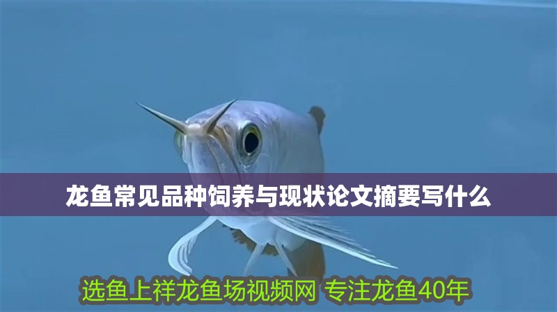 龍魚(yú)常見(jiàn)品種飼養(yǎng)與現(xiàn)狀論文摘要寫什么