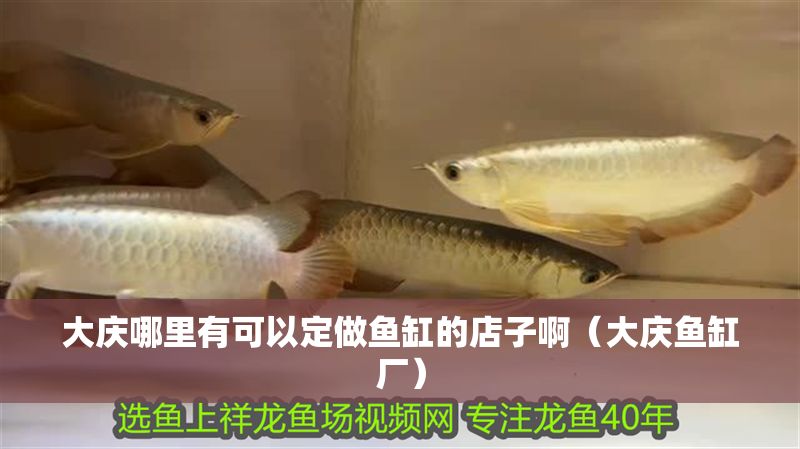 大慶哪里有可以定做魚缸的店子啊（大慶魚缸廠）