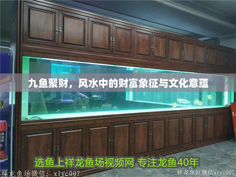 九魚聚財(cái)，風(fēng)水中的財(cái)富象征與文化意蘊(yùn)