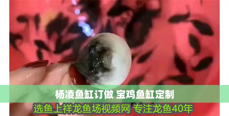 楊凌魚(yú)缸訂做 寶雞魚(yú)缸定制