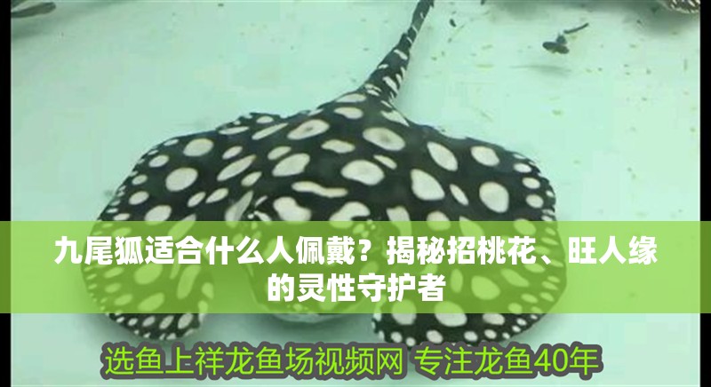 九尾狐適合什么人佩戴？揭秘招桃花、旺人緣的靈性守護(hù)者