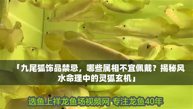 「九尾狐飾品禁忌，哪些屬相不宜佩戴？揭秘風水命理中的靈狐玄機」