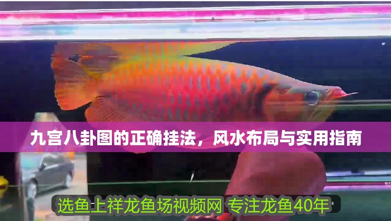 九宮八卦圖的正確掛法，風(fēng)水布局與實(shí)用指南