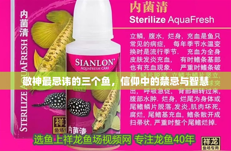 敬神最忌諱的三個魚，信仰中的禁忌與智慧