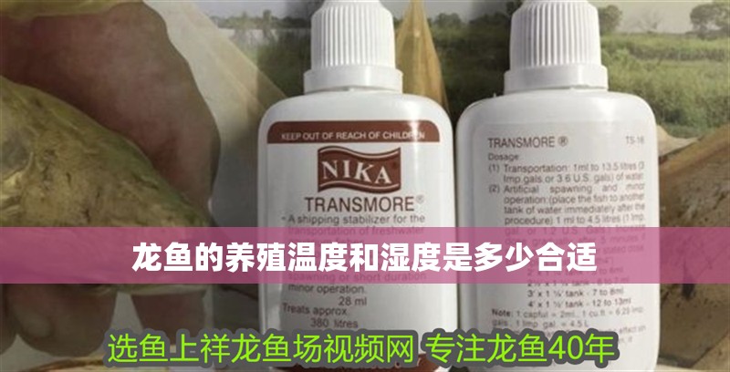 龍魚的養(yǎng)殖溫度和濕度是多少合適