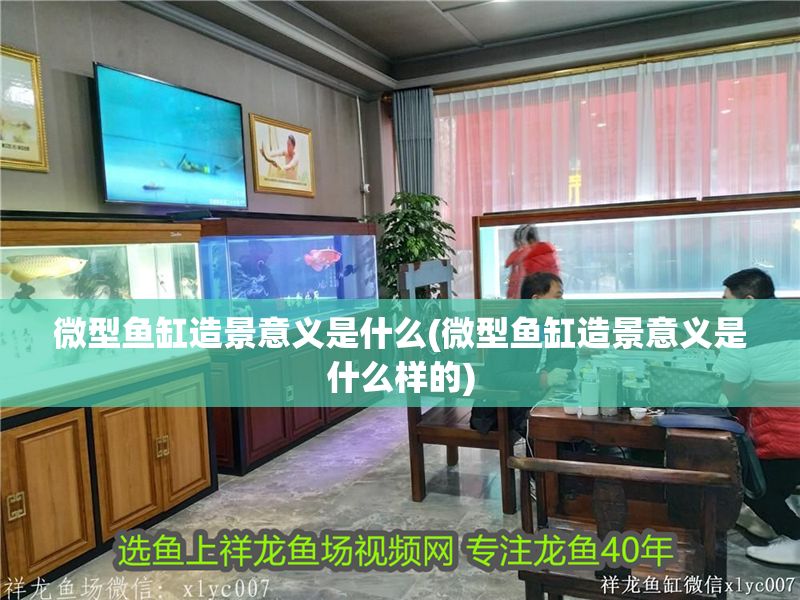微型魚缸造景意義是什么(微型魚缸造景意義是什么樣的)