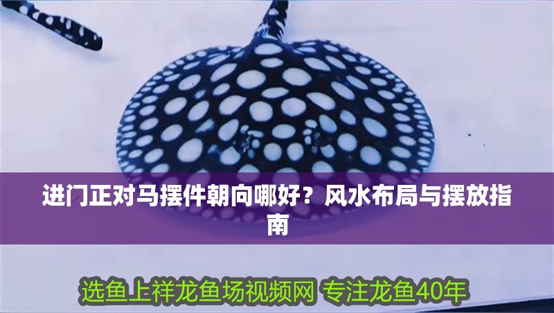 進門正對馬擺件朝向哪好？風水布局與擺放指南