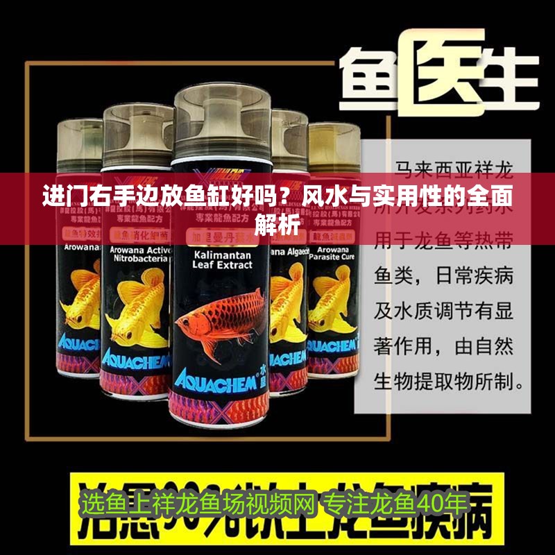 進(jìn)門右手邊放魚缸好嗎？風(fēng)水與實用性的全面解析