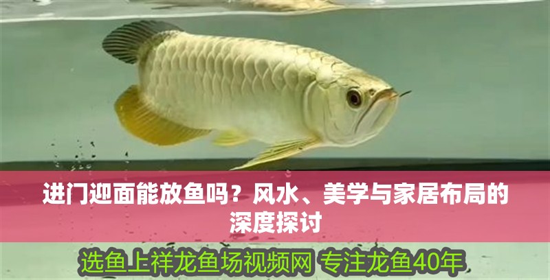 進門迎面能放魚嗎？風水、美學與家居布局的深度探討