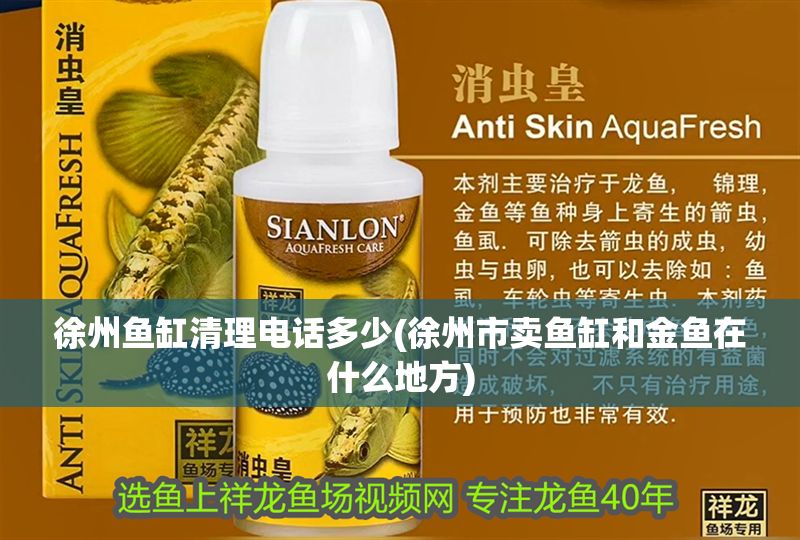 徐州魚缸清理電話多少(徐州市賣魚缸和金魚在什么地方)
