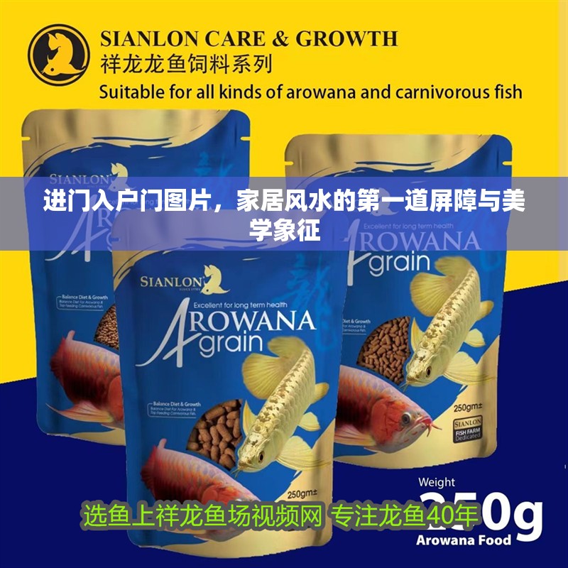 進門入戶門圖片，家居風水的第一道屏障與美學象征