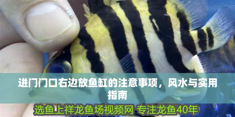 詳細閱讀:進門門口右邊放魚缸的注意事項,風水與實用指南 進門門口右邊放魚缸的注意事項,風水與實用指南