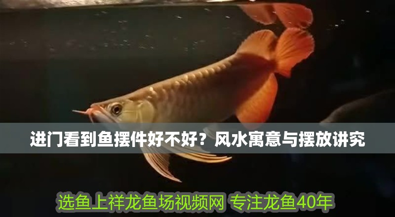 進門看到魚擺件好不好？風水寓意與擺放講究
