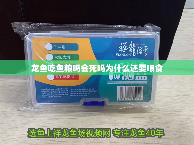 龍魚吃魚糧嗎會死嗎為什么還要喂食