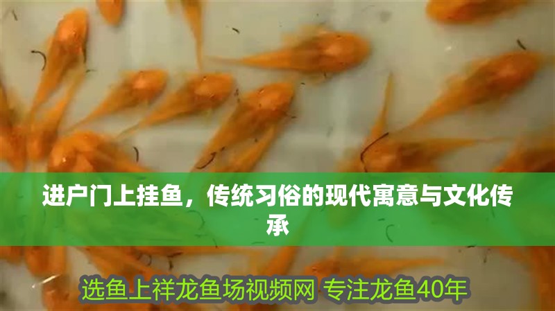 進戶門上掛魚，傳統習俗的現代寓意與文化傳承