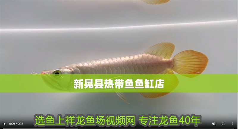 新晃縣熱帶魚魚缸店 全國水族館企業名錄 第1張 新晃縣熱帶魚魚缸店 新晃縣熱帶魚魚缸店 全國水族館企業名錄 第1張