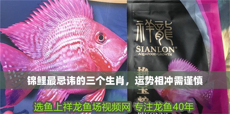 錦鯉最忌諱的三個(gè)生肖，運(yùn)勢(shì)相沖需謹(jǐn)慎