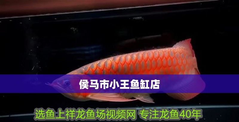 侯馬市小王魚缸店