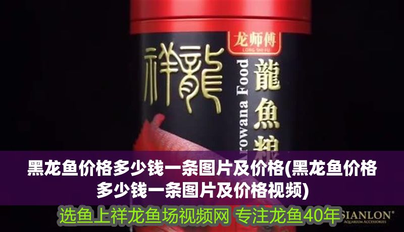 黑龍魚價(jià)格多少錢一條圖片及價(jià)格(黑龍魚價(jià)格多少錢一條圖片及價(jià)格視頻)