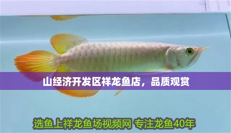 山經濟開發區祥龍魚店，品質觀賞