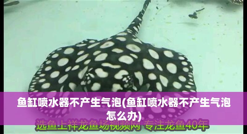 魚缸噴水器不產(chǎn)生氣泡(魚缸噴水器不產(chǎn)生氣泡怎么辦)