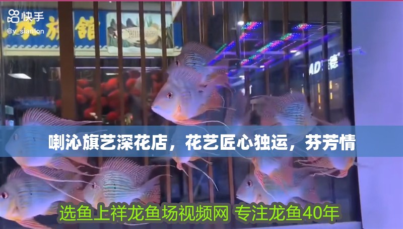 喇沁旗藝深花店,花藝匠心獨運,芬芳情 全國水族館企業名錄 第1張 喇沁旗藝深花店,花藝匠心獨運,芬芳情 喇沁旗藝深花店,花藝匠心獨運,芬芳情 全國水族館企業名錄 第1張