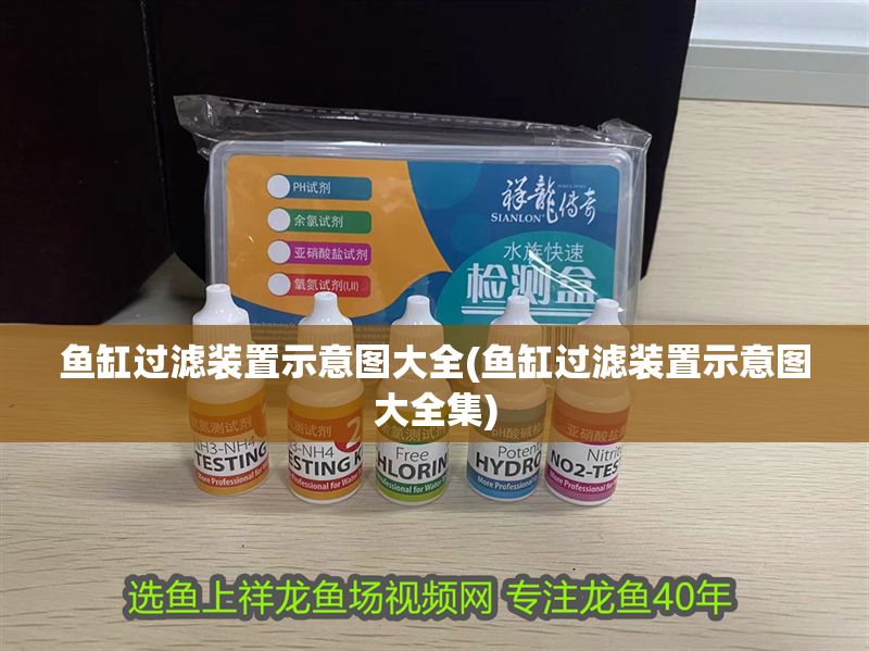 魚缸過濾裝置示意圖大全(魚缸過濾裝置示意圖大全集)