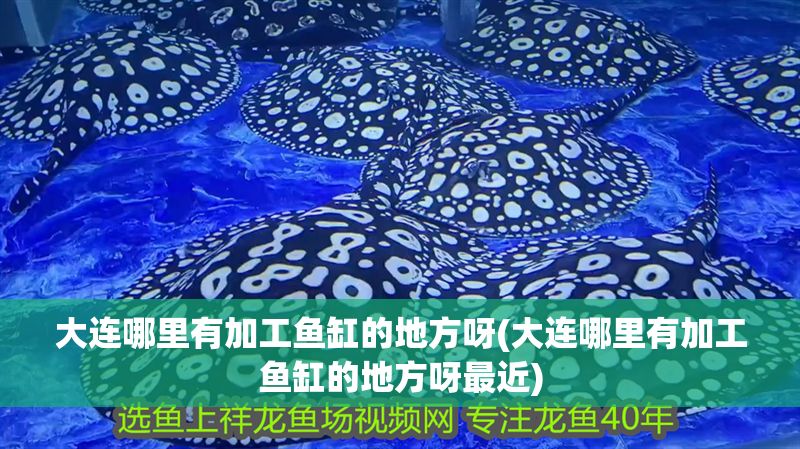 大連哪里有加工魚缸的地方呀(大連哪里有加工魚缸的地方呀最近)