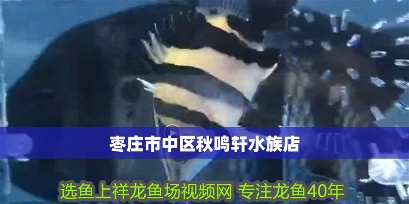 棗莊市中區秋鳴軒水族店 棗莊市中區秋鳴軒水族店 全國水族館企業名錄 第1張