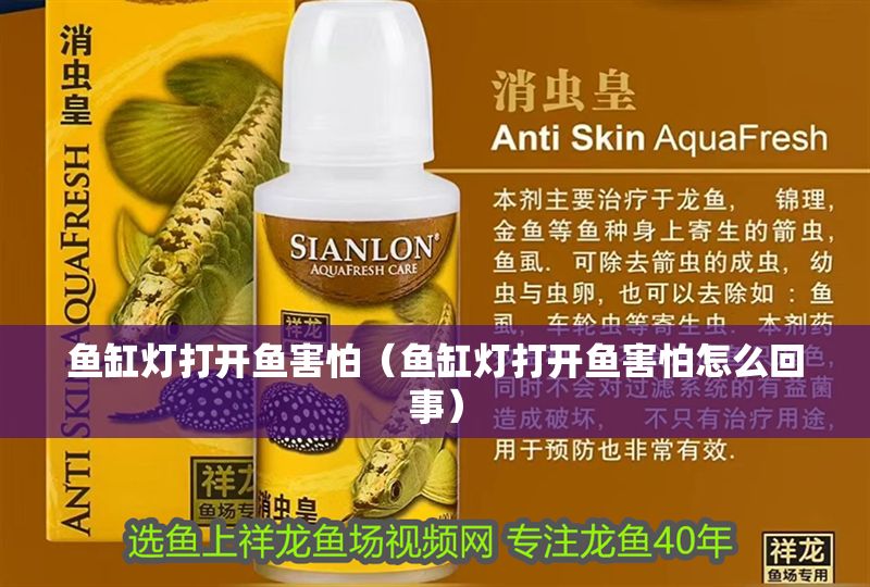 魚缸燈打開魚害怕（魚缸燈打開魚害怕怎么回事）