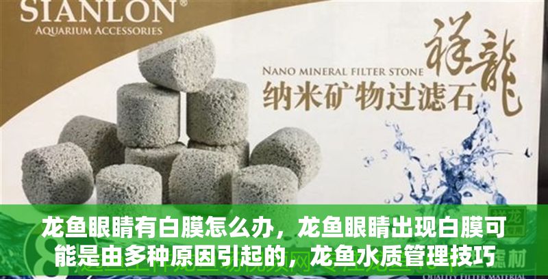 龍魚眼睛有白膜怎么辦，龍魚眼睛出現白膜可能是由多種原因引起的，龍魚水質管理技巧