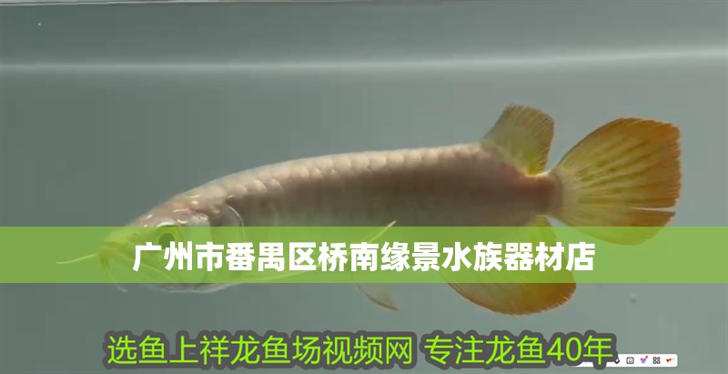 廣州市番禺區橋南緣景水族器材店
