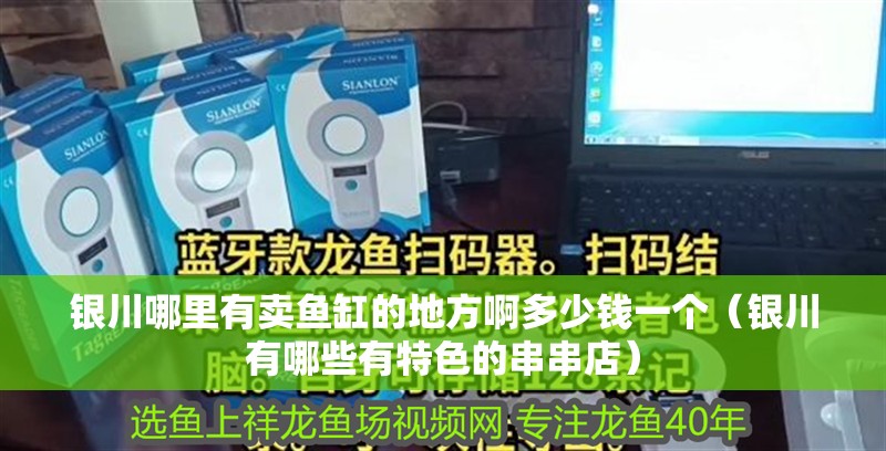 銀川哪里有賣魚缸的地方啊多少錢一個（銀川有哪些有特色的串串店） 銀川哪里有賣魚缸的地方啊多少錢一個（銀川有哪些有特色的串串店） 全國水族館企業名錄 第1張