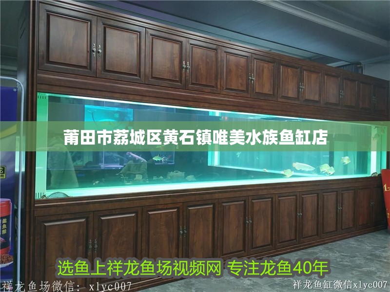 <strong><mark>莆田</mark></strong>市荔城區(qū)黃石鎮(zhèn)唯美水族魚缸店