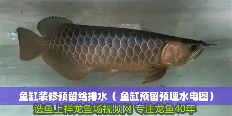 魚缸裝修預留給排水（ 魚缸預留預埋水電圖）