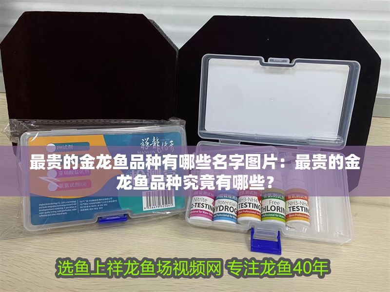 最貴的金龍魚品種有哪些名字圖片：最貴的金龍魚品種究竟有哪些？
