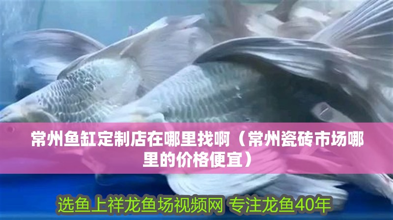 常州魚缸定制店在哪里找啊（常州瓷磚市場哪里的價格便宜）