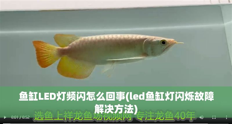魚缸LED燈頻閃怎么回事(led魚缸燈閃爍故障解決方法)